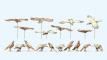 Preiser oiseaux a l echelle 1/35 